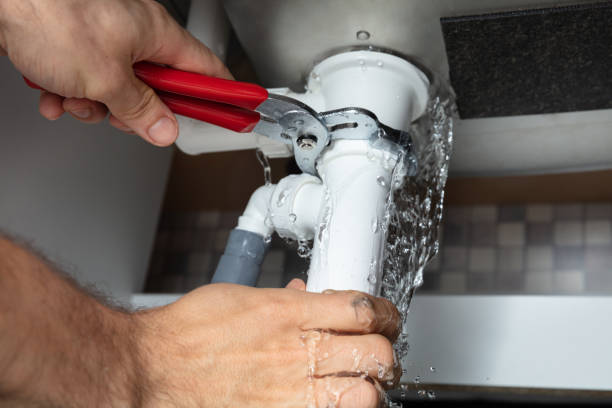 Best Water damage contractors near me  in Toledo, IL