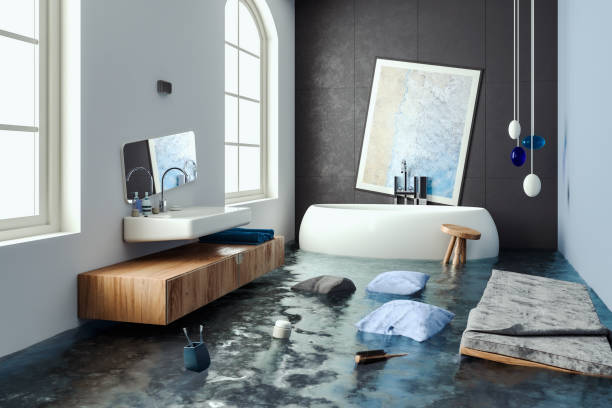  Toledo, IL Water damage restoration Pros