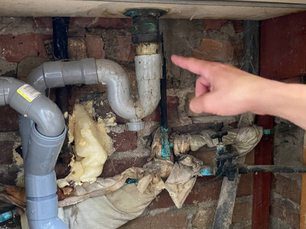 Best Carpet water damage restoration  in Toledo, IL